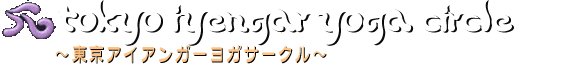 東京アイアンガーヨガサークル